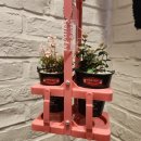 그린인테리어 홈가드닝 | 국내 최대 홈가드닝 종합쇼핑몰 [데팡스]