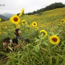 구와우농장 이미지