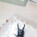 털보네농장
