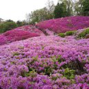 호계공원 이미지