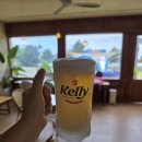 나무그늘 포토타임 | 보령 '캠프타임 캠핑장' - 나무그늘 명당과 수영장, 서비스 생맥주까지 완벽했던 여름휴가(1)