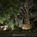 청룡카랜드 | 5박 7일 나트랑여행(2)_ 빈펄리조트나트랑(듀플렉스 오션뷰 프라이빗 풀빌라), 빈펄랜드나트랑