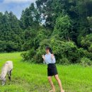 부영카 | 제주도 서귀포 호텔 추천 호캉스 숙소 3곳 수영장,조식 총 정리(그랜드조선제주,제주부영호텔,해비치호텔)