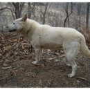 복실농장 이미지