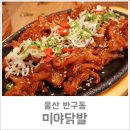 미야닭발 이미지