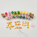 주드리꽃방