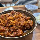 쌍용폐계닭 이미지