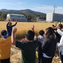 사우초등학교 이미지