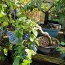 방죽골농장 이미지