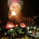 가고파플라워 이미지