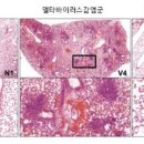 델타바이오2 이미지