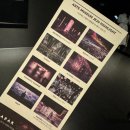 COSMOS/별,꽃 이미지