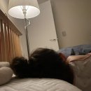 서하동복 이미지