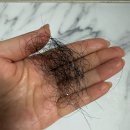 올카케어 | 민감성 두피 고민 끝! 두피진정에 딱 좋은 두피 미스트 추천 피디하이 하이옴 올카밍 세럼미스트