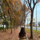 가을 데일리룩 : JAJU 립 터틀넥 니트, 써머레브 패딩조끼 등