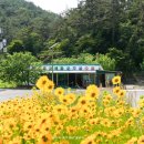 화순중 주차장 이미지