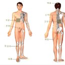 간암 말기(4기이상) 치료 프로그램 이미지