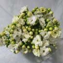 전혜숙농장 이미지