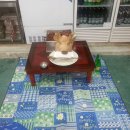 김서방참숯불닭갈비 이미지