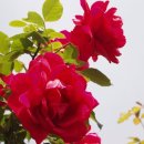 백운건축사사무소 이미지