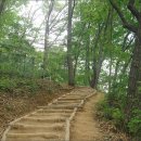 큰기린약국 이미지
