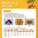 국립식량과학원 바이오에너지작물센터