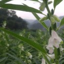 순일농장 이미지