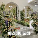 둔산중로134번길 | 비오는 날 야외웨딩 대전 메리비아포레 웨딩홀 하객후기