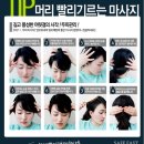 세이프헤어
