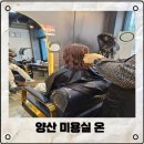 새아담미용실