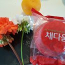 채다움 이미지