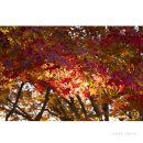 봄치과기공소 이미지