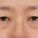 지인성형외과 이미지