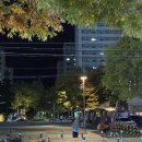 아루앨범기획 | [25年10月3주차] 한주 되돌아보기 | 새로운 이벤트들이 많았던 한주 | 밀양에서 플리마켓 셀러가 되다🌈