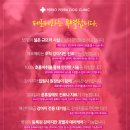 페로페라동물병원 이미지