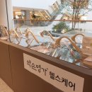 (주)약손명가 헬스케어 이미지