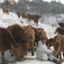 명성농장 이미지