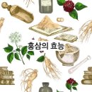 홍삼의신비