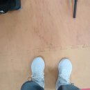 엘마복싱체육관 이미지