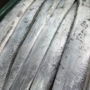 자주 없는 가격!!생물 中大먹갈치/활 숫꽃게/급냉 참조기포/명절 선물세트 이미지