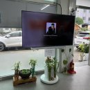 장한태권도 이미지