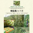 아오리 이미지