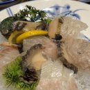 미백일식 | [통영 맛집] 상다리 부러지는 통영 다찌의 정석, '미백일식' 방문 후기!