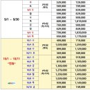 정투어여행사