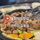 창달 | 울산막창맛집 대구3대막창으로 유명한 연잎숙성막창울산 연막창 달동점