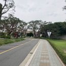 건축사사무소 플로라앤파우나 | 국립현대미술관 과천 전시 추천_젊은모색2023 : 미술관을 위한 주석