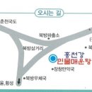 홍천민물장어
