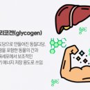 그레잇점핑