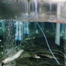 구만횟집 이미지