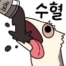 와우쥬 양산점 이미지